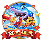 看球app单机版